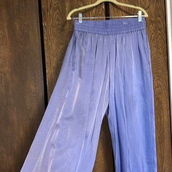 Everlane pebbled silky pants - Picture 3 of 6